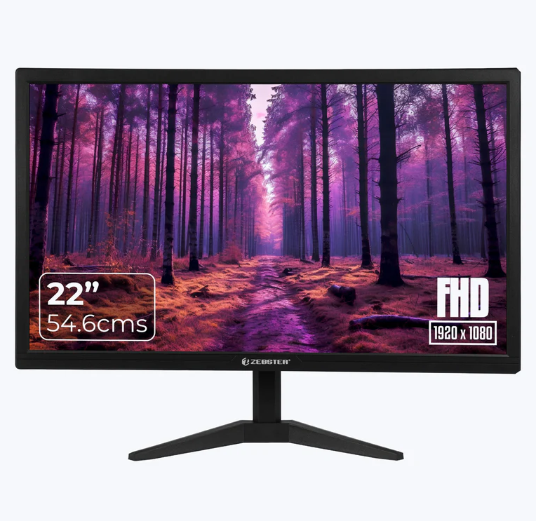 ZEBSTER 22 Inch (54.6cm) LED Monitor, Dual HDMI & VGA Input, FHD